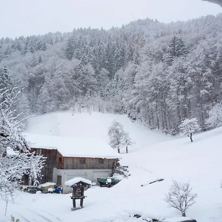 Apartamento Sonnegg By Interhome